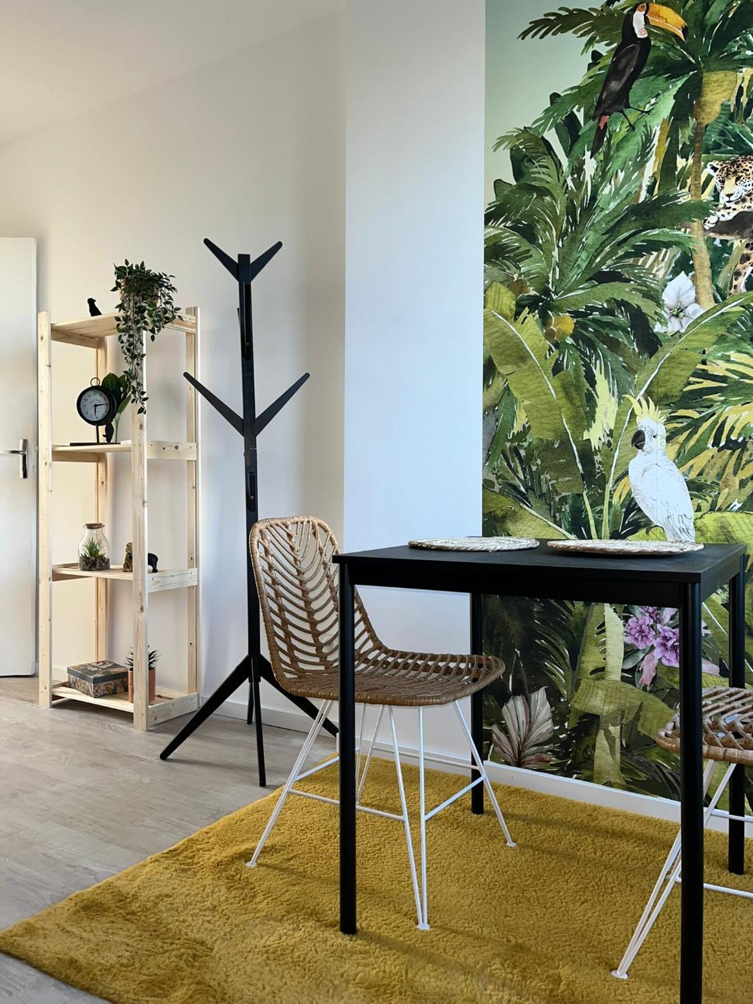 Studio Tropical , Vierzon , Proche Gare , Tout Confort Εξωτερικό φωτογραφία